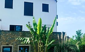 Apartments Artemus Belveder